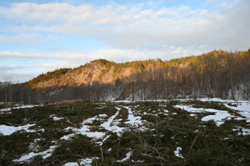中川郡豊頃町二宮5577番1他 7,700㎡（ｙ240）